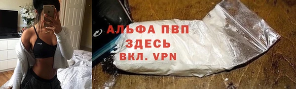 индика Богданович