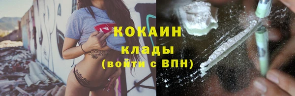 индика Богданович