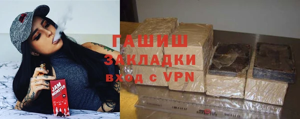 индика Богданович