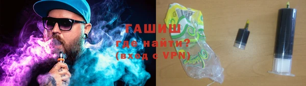 индика Богданович