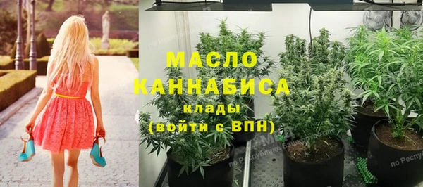 индика Богданович