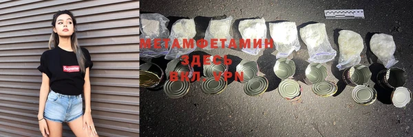 индика Богданович