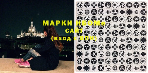 индика Богданович