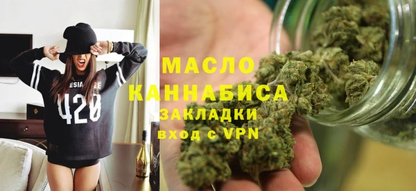 индика Богданович