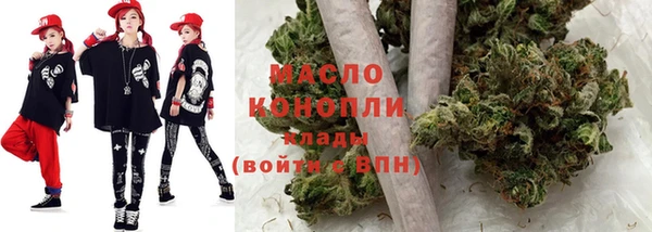 индика Богданович