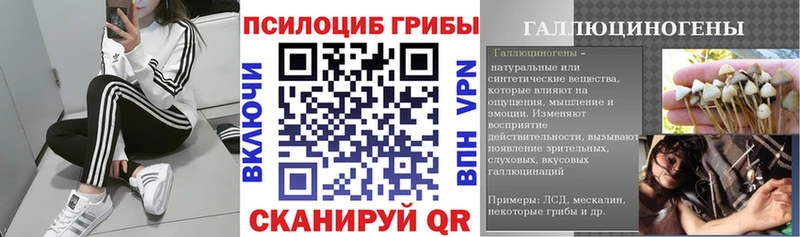 Галлюциногенные грибы Cubensis  ссылка на мегу tor  Кондрово 