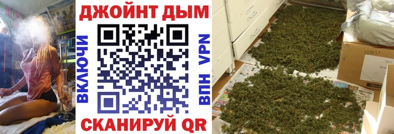 Канабис сатива  Кондрово 